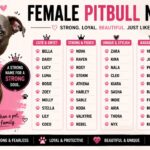 Female Pitbull Names
