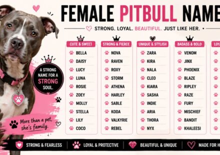Female Pitbull Names