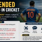 suspended meaning in cricket