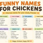 funny names for chickens